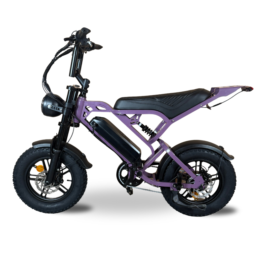 V20 mini Special Edition Fatbike 2025 Paars | Combi-Deal 🔥