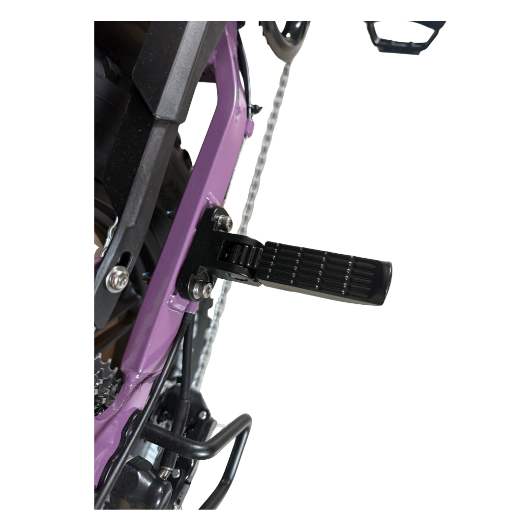 V20 mini Special Edition Fatbike 2025 Paars | Combi-Deal 🔥