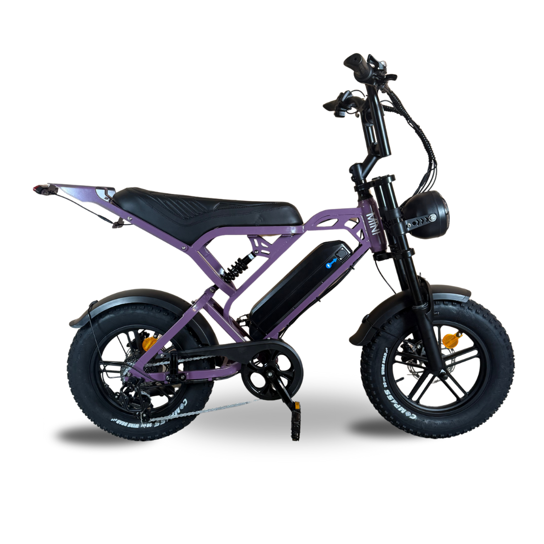 V20 mini Special Edition Fatbike 2025 Paars | Combi-Deal 🔥