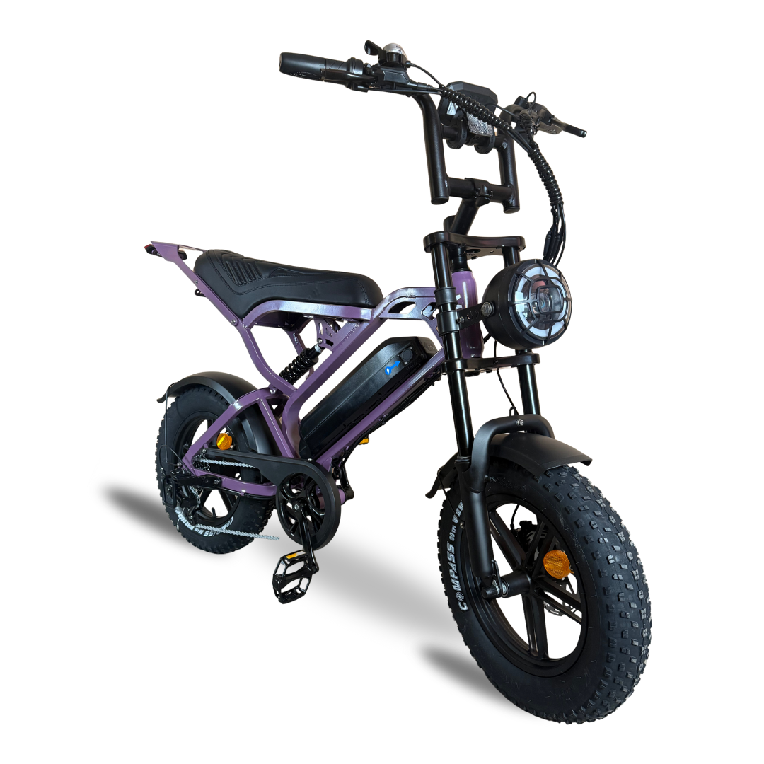 V20 mini Special Edition Fatbike 2025 Paars | Combi-Deal 🔥