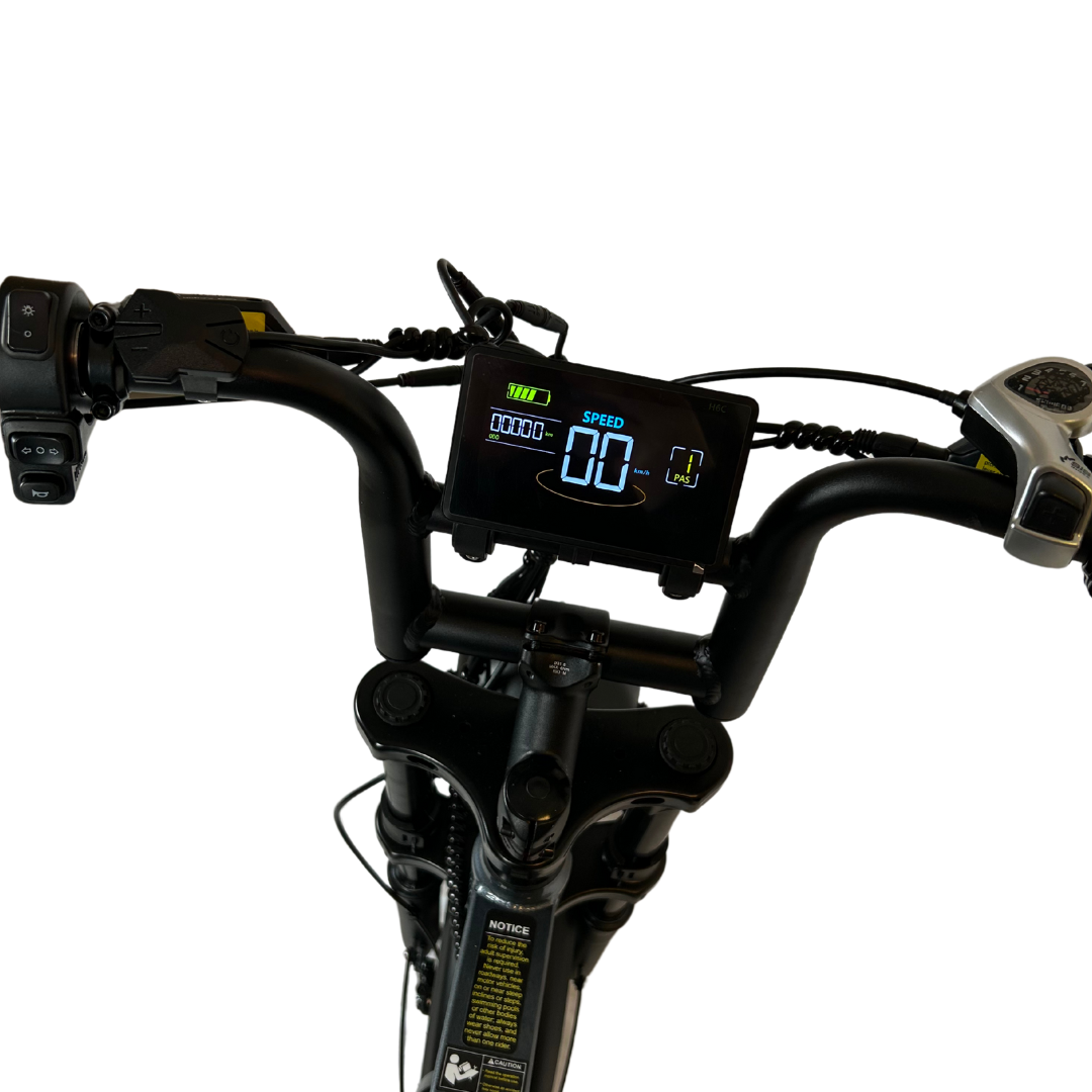 V20 PRO Fatbike 2025 Donkergrijs + achterzitje + voetsteuntjes + alarm + ART-2 kettingslot 🎁