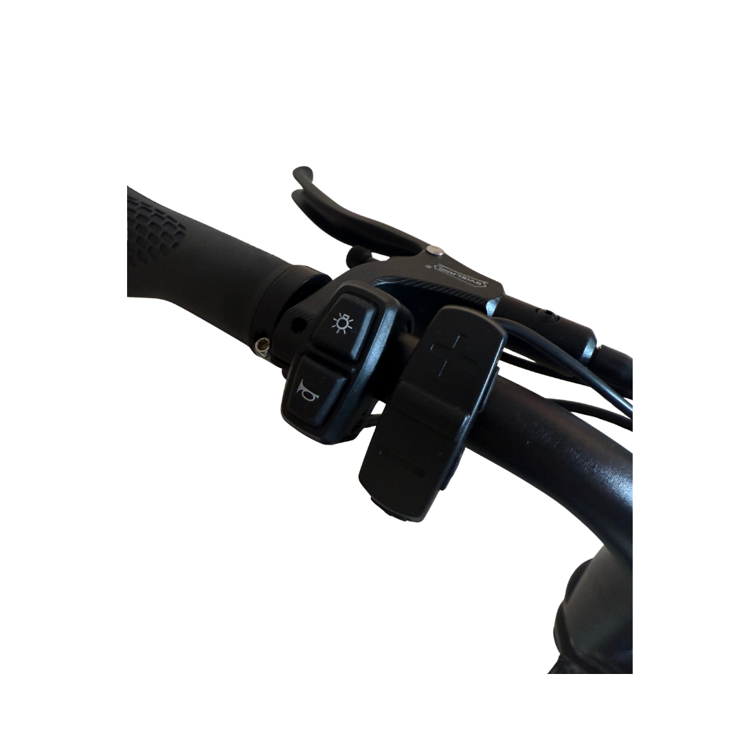 EB16 Mini Fatbike – compacte krachtpatser -  ART-2 kettingslot 🎁