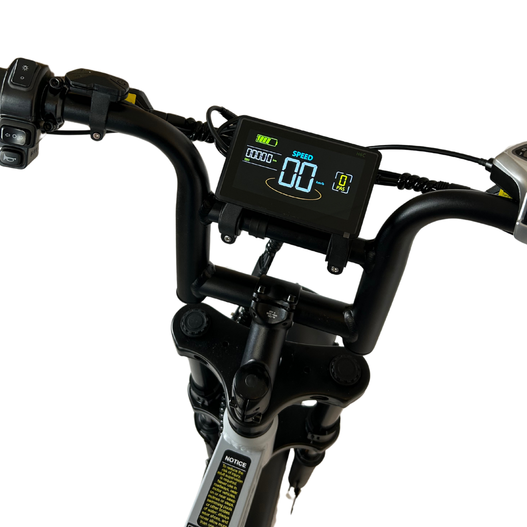 V20 PRO Fatbike 2025 Nardo Grey / Grijs | Combi-Deal 🔥