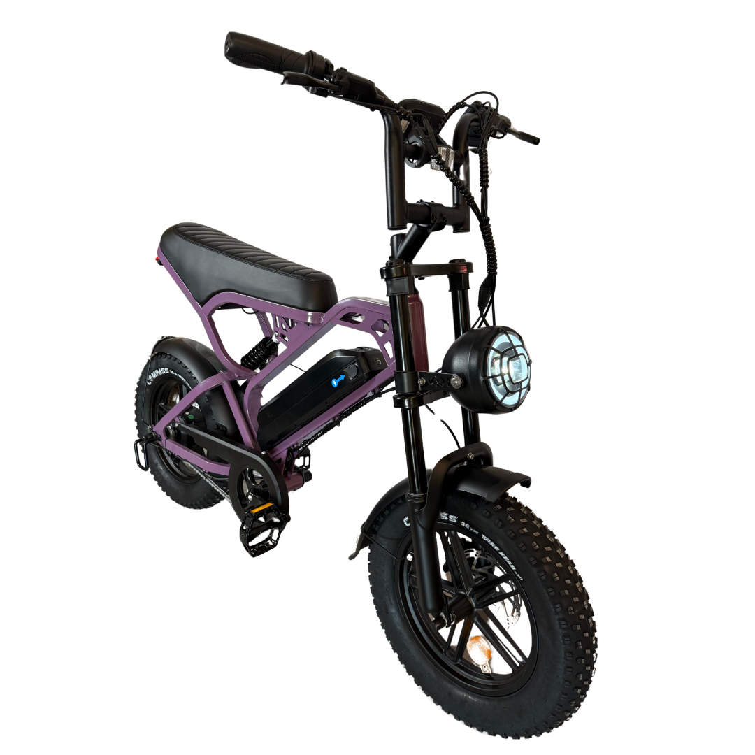 V20 mini Fatbike 2025 16inch Paars + ART-2 kettingslot 🎁