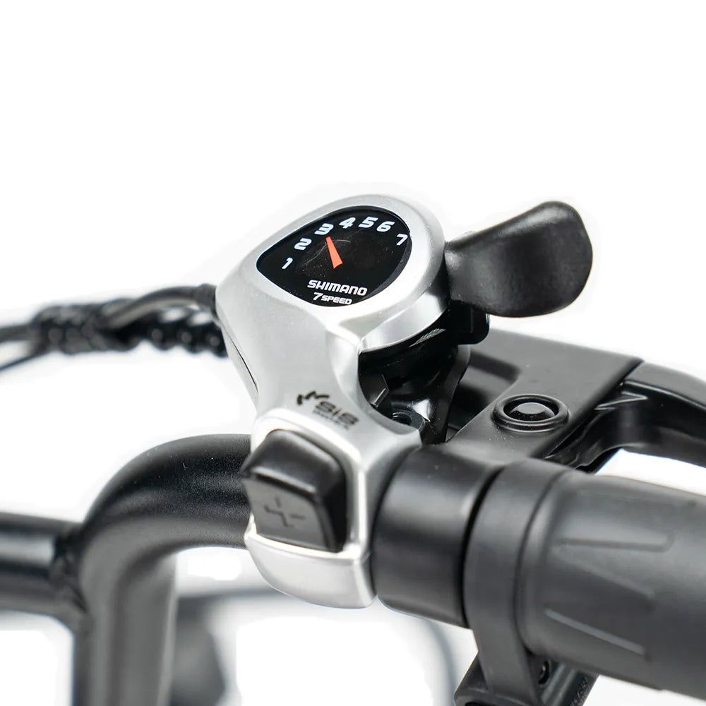 ENGWE L20 Boost - Fatbike - Wijn-rood