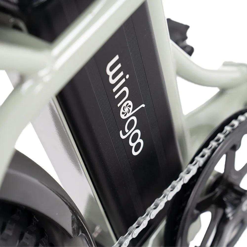 Windgoo E20 Pro – Zwart - Lage instap - vouwfiets